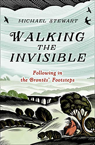 Book Walking The Invisible free