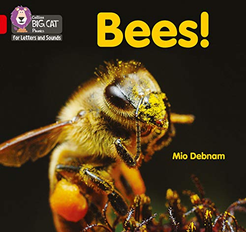 Book Bees!: Band 02B/Red B (Collins Big Cat Phonics for Letters and Sounds) free
