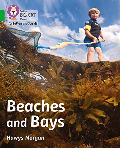Book Beaches and Bays: Band 05/Green (Collins Big Cat Phonics for Letters and Sounds) free