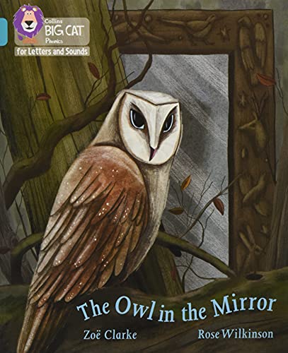 Book The Owl in the Mirror: Band 07/Turquoise (Collins Big Cat Phonics for Letters and Sounds) free