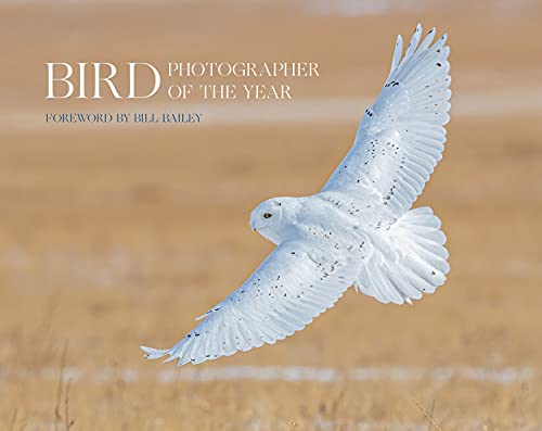 Book Bird Photographer of the Year: Collection 6 free