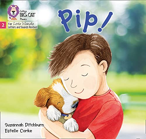 Book Big Cat Phonics for Little Wandle Letters and Sounds Revised – Pip!: Phase 2 free