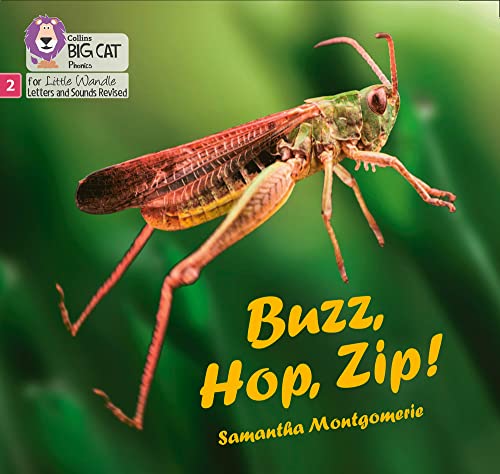 Book Big Cat Phonics for Little Wandle Letters and Sounds Revised – Buzz, Hop, Zip!: Phase 2 free