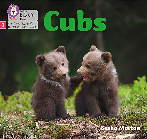 Book Big Cat Phonics for Little Wandle Letters and Sounds Revised – Cubs: Phase 2 free