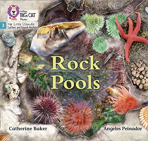 Book Big Cat Phonics for Little Wandle Letters and Sounds Revised – Rock Pools: Phase 3 free