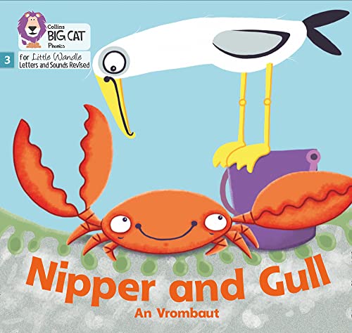 Book Big Cat Phonics for Little Wandle Letters and Sounds Revised – Nipper and Gull: Phase 3 free
