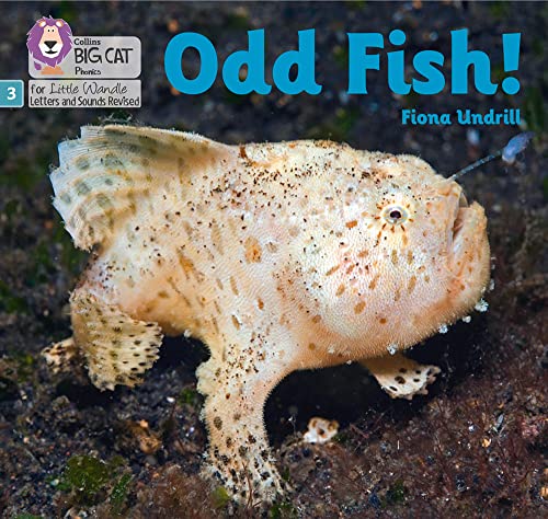 Book Big Cat Phonics for Little Wandle Letters and Sounds Revised – Odd Fish!: Phase 3 free