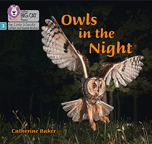 Book Big Cat Phonics for Little Wandle Letters and Sounds Revised – Owls in the Night: Phase 3 free