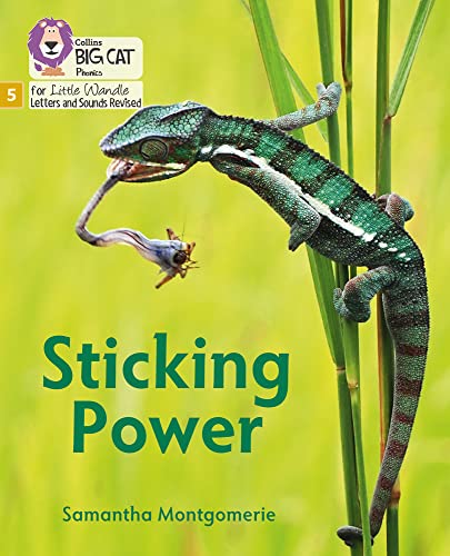 Book Big Cat Phonics for Little Wandle Letters and Sounds Revised – Sticking Power: Phase 5 free
