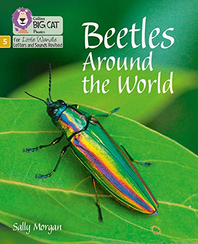 Book Big Cat Phonics for Little Wandle Letters and Sounds Revised – Beetles Around the World: Phase 5 free