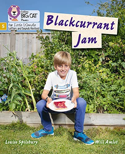 Book Big Cat Phonics for Little Wandle Letters and Sounds Revised – Blackcurrant Jam: Phase 5 free