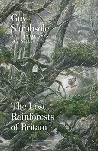 Book The Lost Rainforests of Britain free