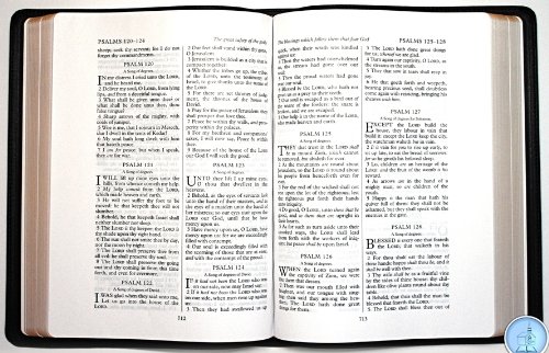 Book Holy Bible: King James Version, Giant Print Wide Margin Text Bible free