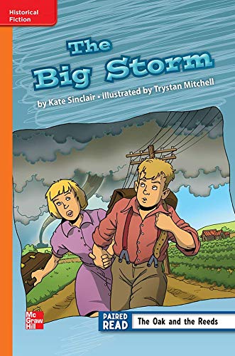 Book Reading Wonders Leveled Reader The Big Storm: Approaching Unit 6 Week 2 Grade 3 (ELEMENTARY CORE READING) free