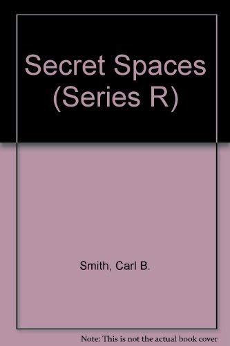 Book Secret Spaces (series R) free