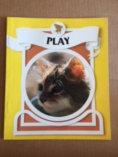 Book Play (Macmillan reading express) free