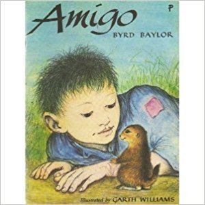 Book Amigo free