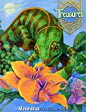 Book Treasures, a Reading/Language Arts Program, Level 4 Pupil Edition 2007 publication free