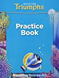 Book Practice Book Grade 2 (Reading Triumphs) free