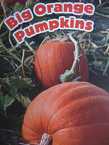 Book Leveled Reader Library Level 2 Big Orange Pumpkins free