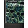 Book Intermediate Algebra free