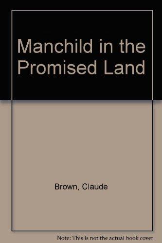 Book Manchild in the Promised Land free