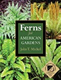 Book Ferns for American Gardens free