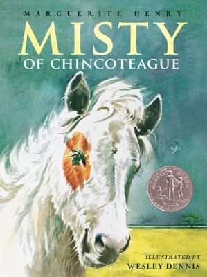 Book Misty of Chincoteague free