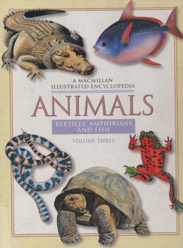 Book Animals: Reptiles: 3 (Macmillan Illustrated Encyclopedia) free