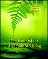 Book Fundamentals of Algebraic Modeling free