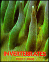 Book Invertebrates free