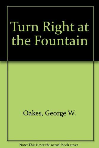Book Turn Right at the Fountain free