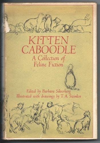 Book Kitten Caboodle - A Collection Of Feline Fiction free