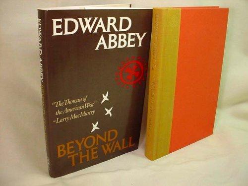 Book Beyond the Wall: Essays from the Outside free