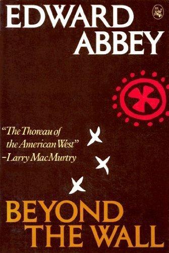 Book Beyond the Wall: Essays from the Outside free