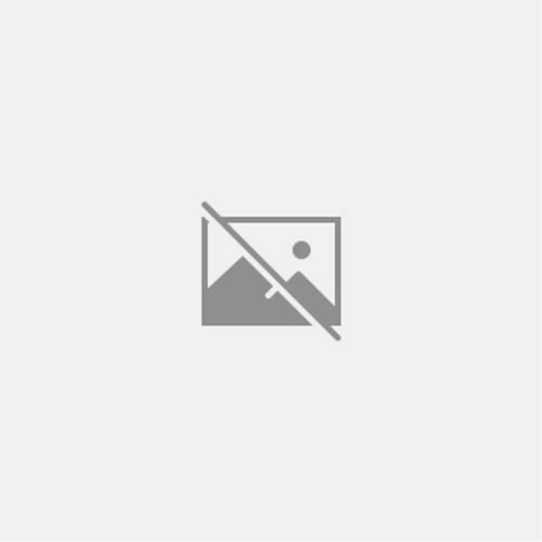 Book Holt Mathematics: Standardized Test Prep Video Course 3 free