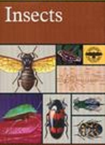 Book An introduction to the study of insects free