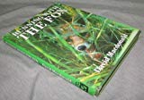 Book Running with the Fox free