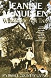 Book Wind In The Ash Tree U/p free