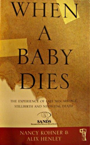 Book When a Baby Dies: The Experience of Late Miscarriage, Stillbirth and Neonatal Death (Pandora Health) free