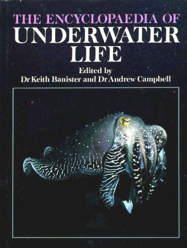 Book The Encyclopaedia of Underwater Life (Unwin Animal Library) free