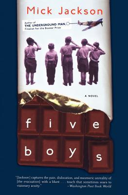 Book Five Boys: A Novel free