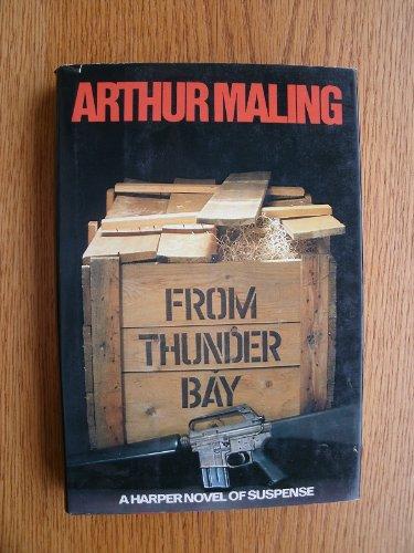 Book From Thunder Bay (Harper Novel of Suspense) free
