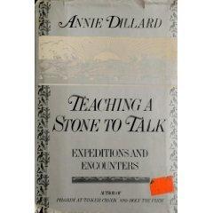 Book Teaching a Stone to Talk free