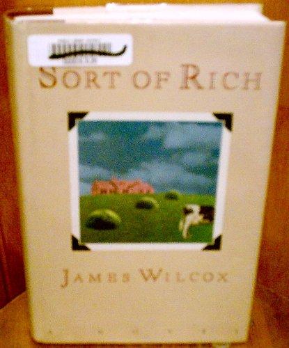 Book Sort of Rich: A Novel free
