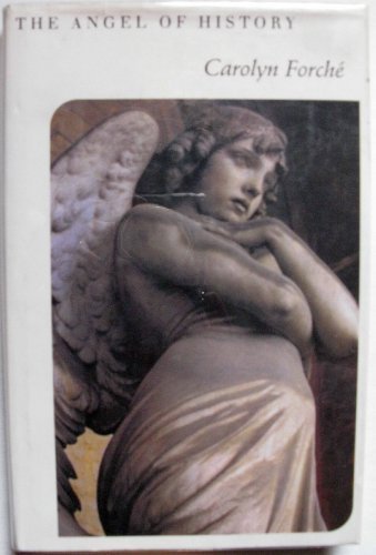 Book The Angel of History free