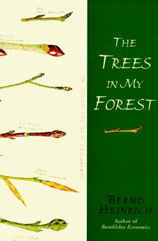 Book The Trees in My Forest free