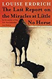 Book The Last Report on the Miracles at Little No Horse: A Novel free