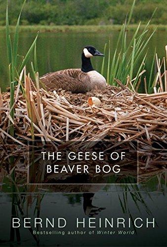 Book The Geese of Beaver Bog free