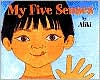 Book My Five Senses Big Book (Let's-Read-and-Find-Out Science 1) free